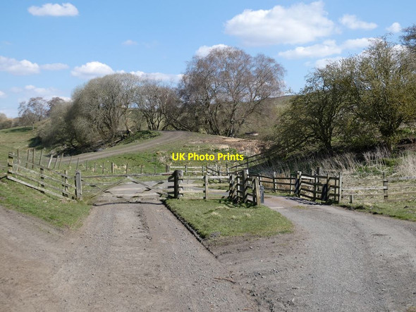 Photo 6"x4" Approach to the former Border Counties Railway Birtley\/NY8778 c2021 P1