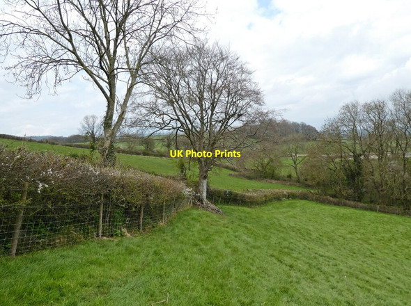 Photo 6"x4" Bridleway to Prime Lane Whitchurch Canonicorum c2021