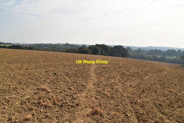 Photo 6"x4" Bridleway to Rushlake Green Chapman's Town c2020