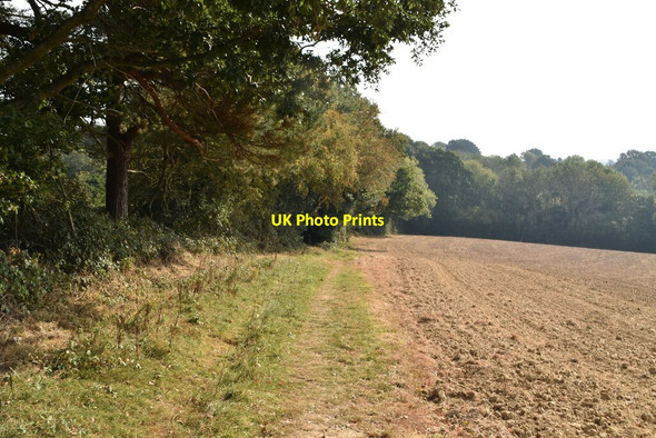 Photo 6"x4" Bridleway by field boundary Chapman's Town c2020