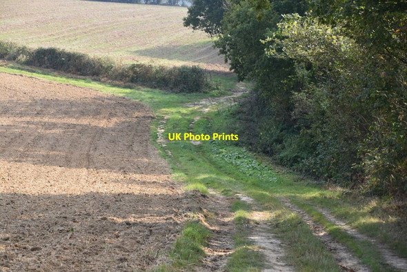Photo 6"x4" Bridleway to Rushlake Green Chapman's Town c2020