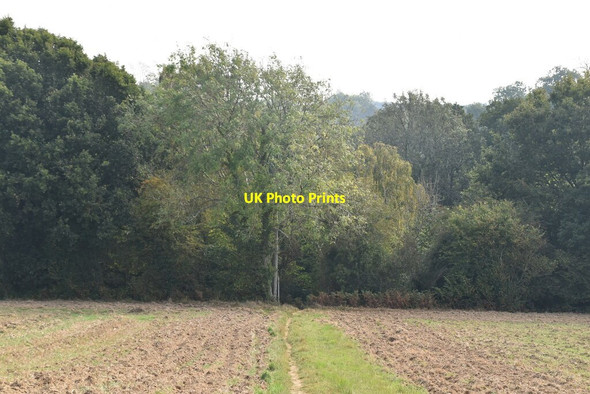 Photo 6"x4" Bridleway entering woodland Rushlake Green c2020