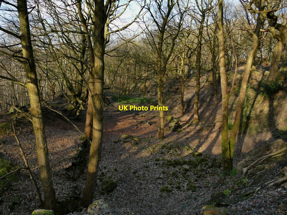 Photo 6"x4" Old quarry in Calverley Wood Apperley Bridge c2021