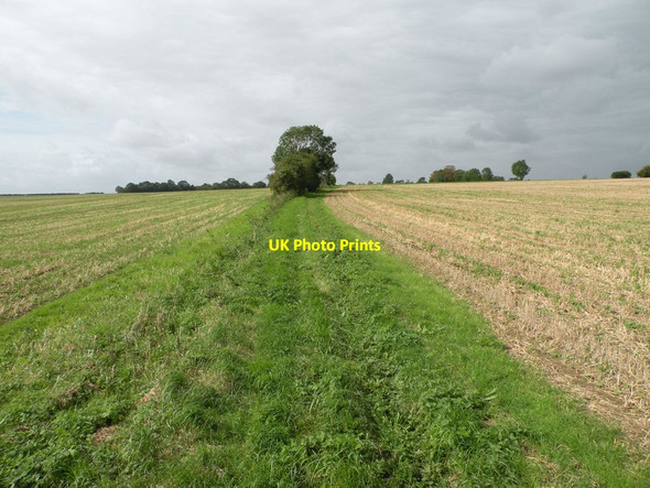 Photo 6"x4" Footpath to Papworth St Agnes Papworth St Agnes c2017