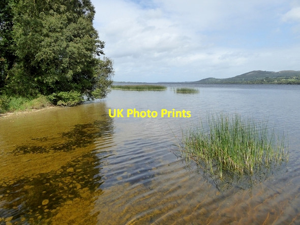 Photo 6"x4" Rinnamon Point Killaloe c2017