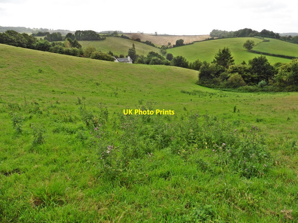 Photo 6"x4" Pasture above Hookway Crediton c2017