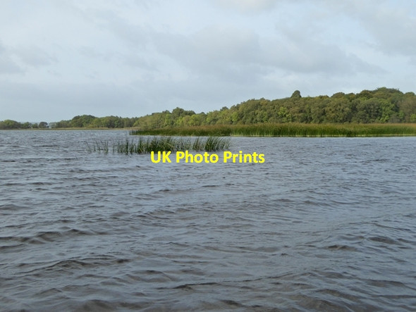 Photo 6"x4" Western shore of Mountshannon Bay Mountshannon c2017