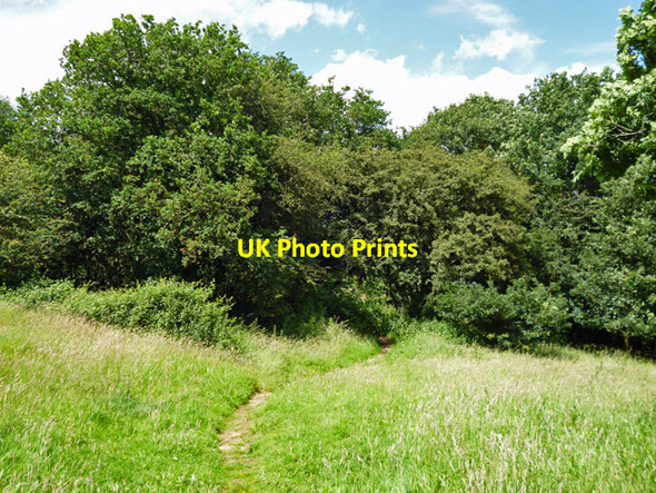 Photo 6"x4" Path on Curtismill Green Curtismill Green c2012