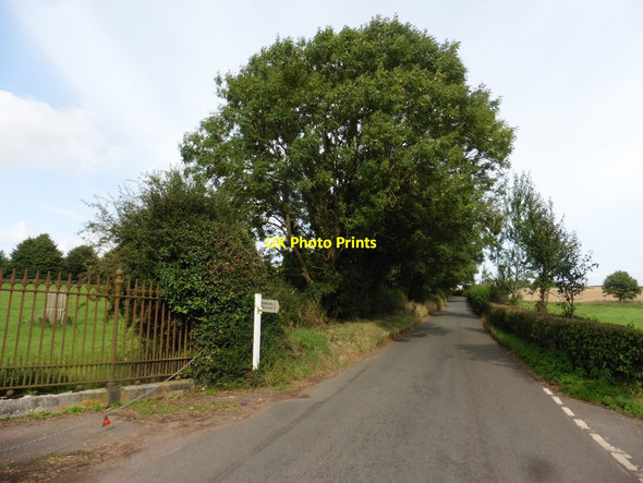 Photo 6"x4" Minor road to Shobrooke Crediton c2017