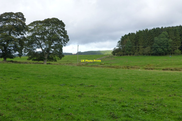 Photo 6"x4" Public footpath to Cornhills Kirkwhelpington c2017