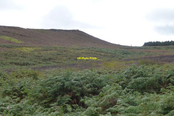 Photo 6"x4" Hepple Heugh Ridsdale c2017