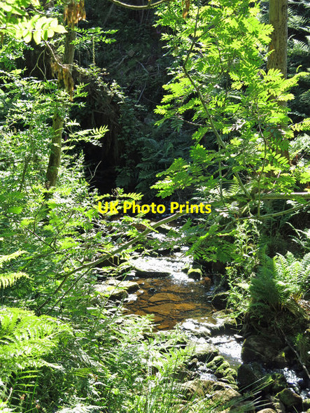 Photo 6"x4" Snaisgill Sike Aukside c2017