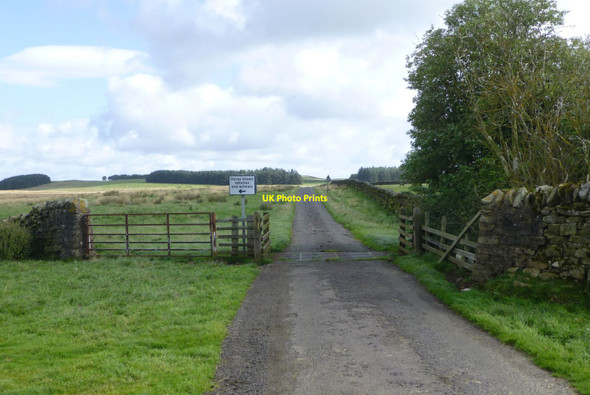 Photo 6"x4" Yet another cattle grid Thockrington c2017