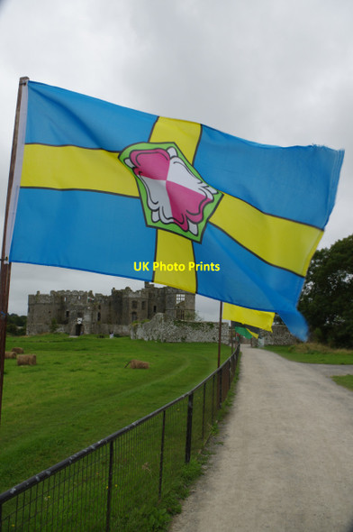 Photo 6"x4" Pembrokeshire Flag Carew c2017