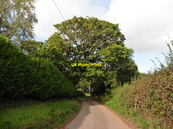 Photo 6"x4" Minor road to Cheriton Fitzpaine Perry\/SS8605 c2017