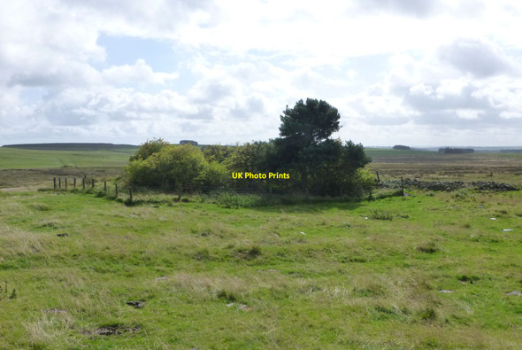 Photo 6"x4" Small enclosure Thockrington c2017
