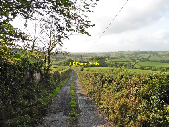 Photo 6"x4" Track to Hedgeland Cadbury\/SS9104 c2017