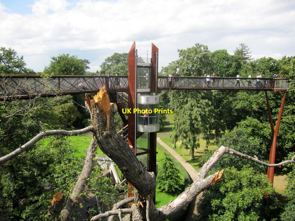 Photo 6"x4" The treetop walkway, Royal Botanic Gardens, Kew Brentford c2017