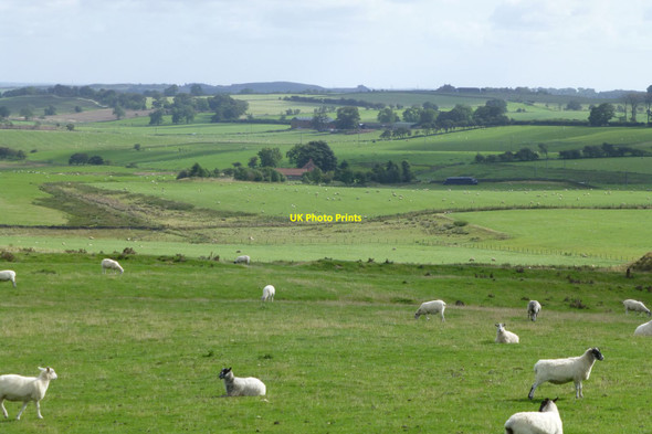 Photo 6"x4" Looking down from Bavington Crags Great Bavington c2017