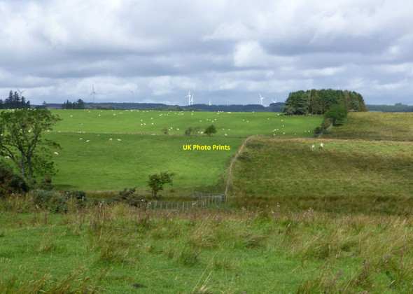 Photo 6"x4" Rough and better pastures near Crookdene Great Bavington c2017