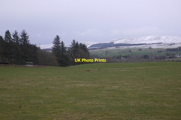 Photo 6"x4" Field, Wester Feddal Braco\/NN8309 c2017