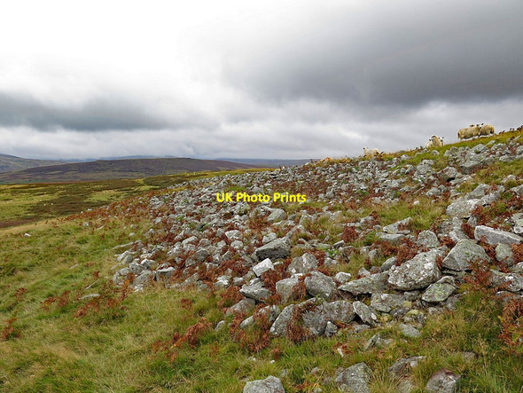 Photo 6"x4" Outer ramparts, Humbleton Hill Akeld c2017