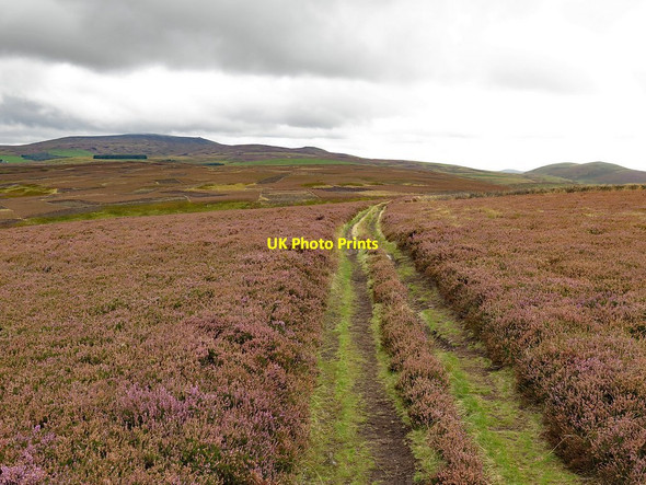 Photo 6"x4" Path on Gains Law Akeld c2017