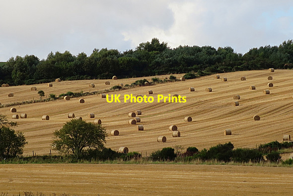 Photo 6"x4" Straw Bales Hardgate\/NJ7801 c2017
