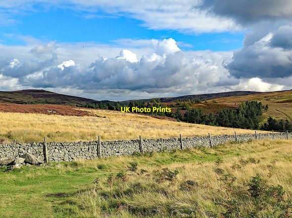 Photo 6"x4" Wall near Common Burn Akeld c2017