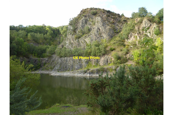 Photo 6"x4" Rock face above Gullet Quarry Chandler's Cross\/SO7738 c2017