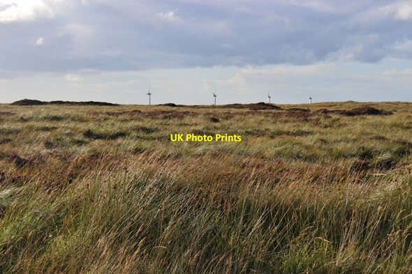 Photo 6"x4" Moorland north of Slickly Slickly c2017