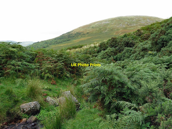 Photo 6"x4" Stream south-west of Yeavering Bell Kirknewton\/NT9130 c2017