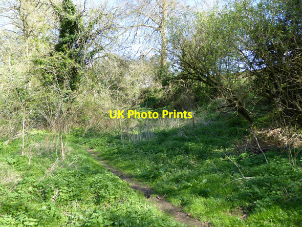 Photo 6"x4" Course of Dorset and Somerset Canal Frome c2017
