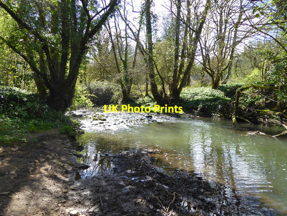 Photo 6"x4" The Mells River Frome c2017
