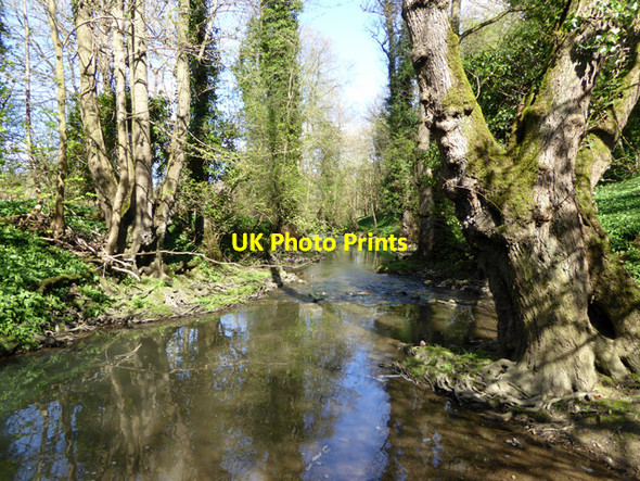Photo 6"x4" The Mells River Frome c2017 P1