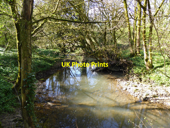 Photo 6"x4" Mells River below Hapsford Bridge Frome c2017