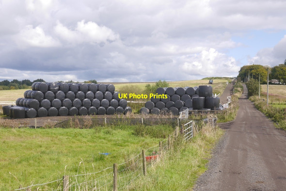 Photo 6"x4" Bale stash, Caldwell Law Uplawmoor c2017