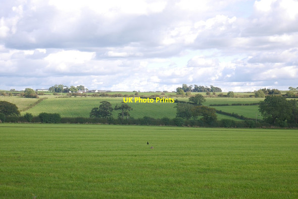 Photo 6"x4" Smooth grass Stewarton\/NS4246 c2017