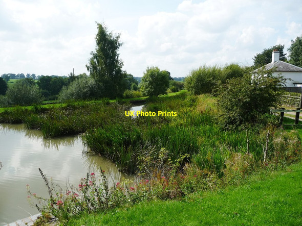 Photo 6"x4" The uppermost side pond at Watford Locks Watford\/SP6068 c2017