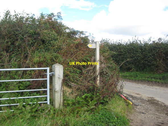 Photo 6"x4" Footpath sign at Staker's Cross Wayford c2017