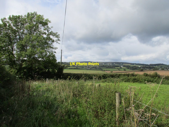 Photo 6"x4" Field edge above Lower Lounston Sigford c2017