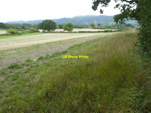 Photo 6"x4" View to the Malvern Hills Great Malvern c2017
