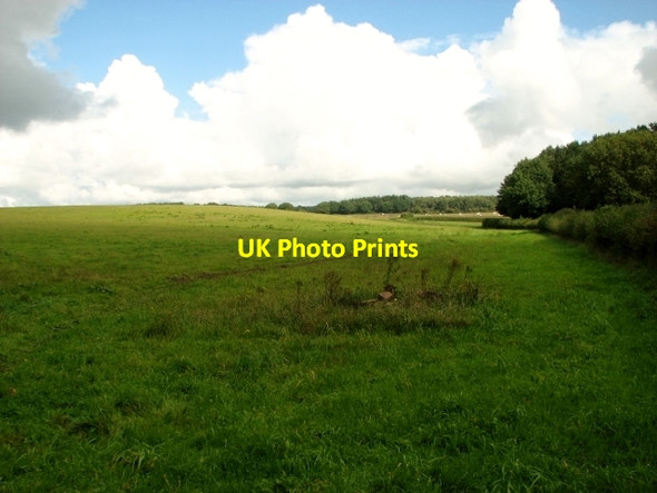 Photo 6"x4" Pasture north of Honingham Lane Ringland\/TG1314 c2017