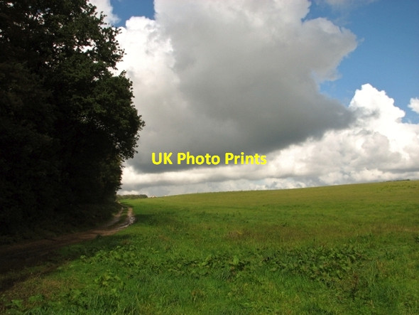 Photo 6"x4" Dark clouds over Blackbreck plantation Ringland\/TG1314 c2017