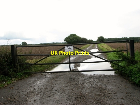 Photo 6"x4" Private track into crop fields north of the A47 road East Tuddenham c2017