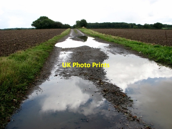 Photo 6"x4" Large puddles on private farm track East Tuddenham c2017
