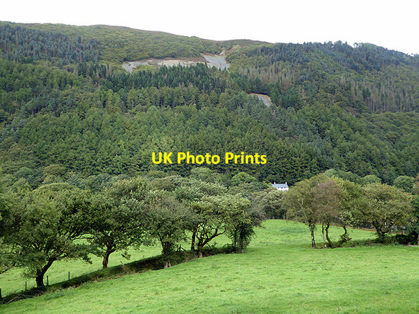 Photo 6"x4" Pasture beside the Rheidol Cwmbrwyno c2017
