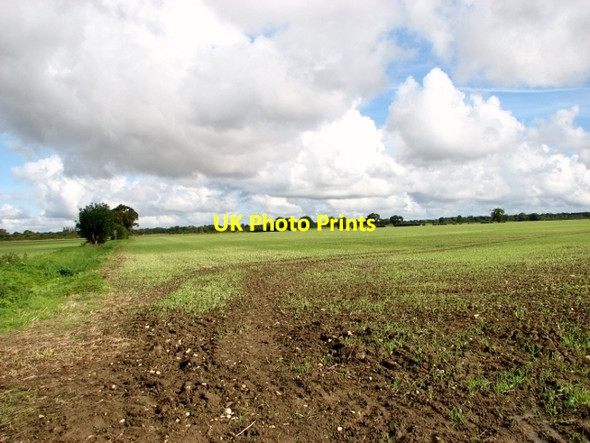Photo 6"x4" Cereal crop north of Ketteringham Road Wymondham\/TG1101 c2017