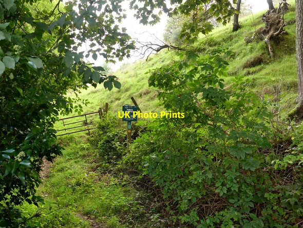 Photo 6"x4" Peak & Northern Footpaths Society sign #268 Fernilee c2017