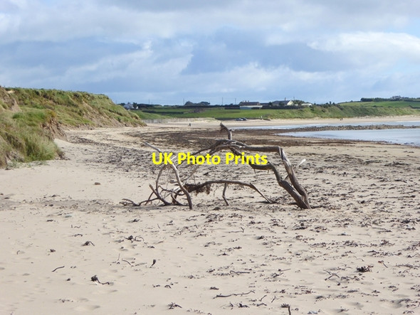 Photo 6"x4" Driftwood on the beach at Whiting Bay Kinsalebeg c2017